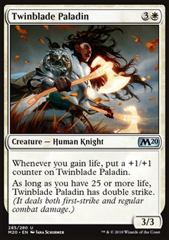 Twinblade Paladin